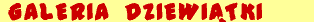 Zdj�cia, zdj�cia, zdj�cia.